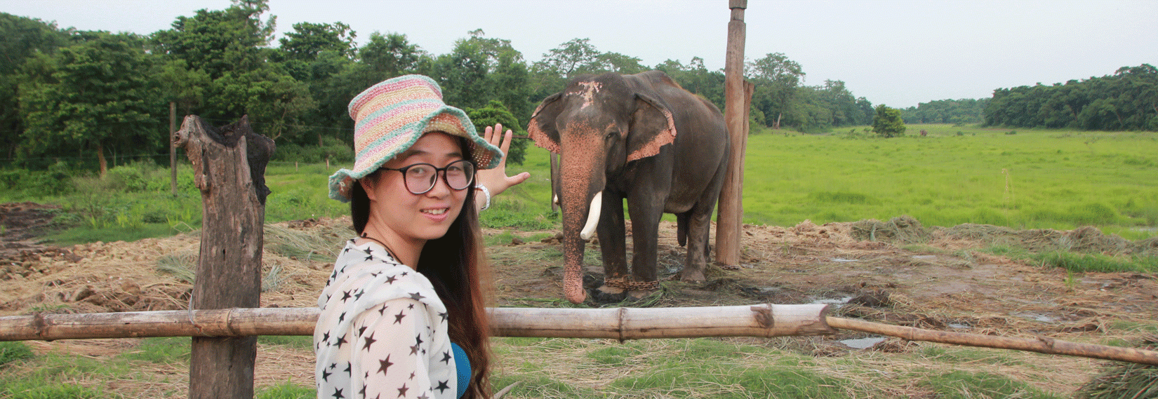 Elephant Breeding Center in Chitwan 