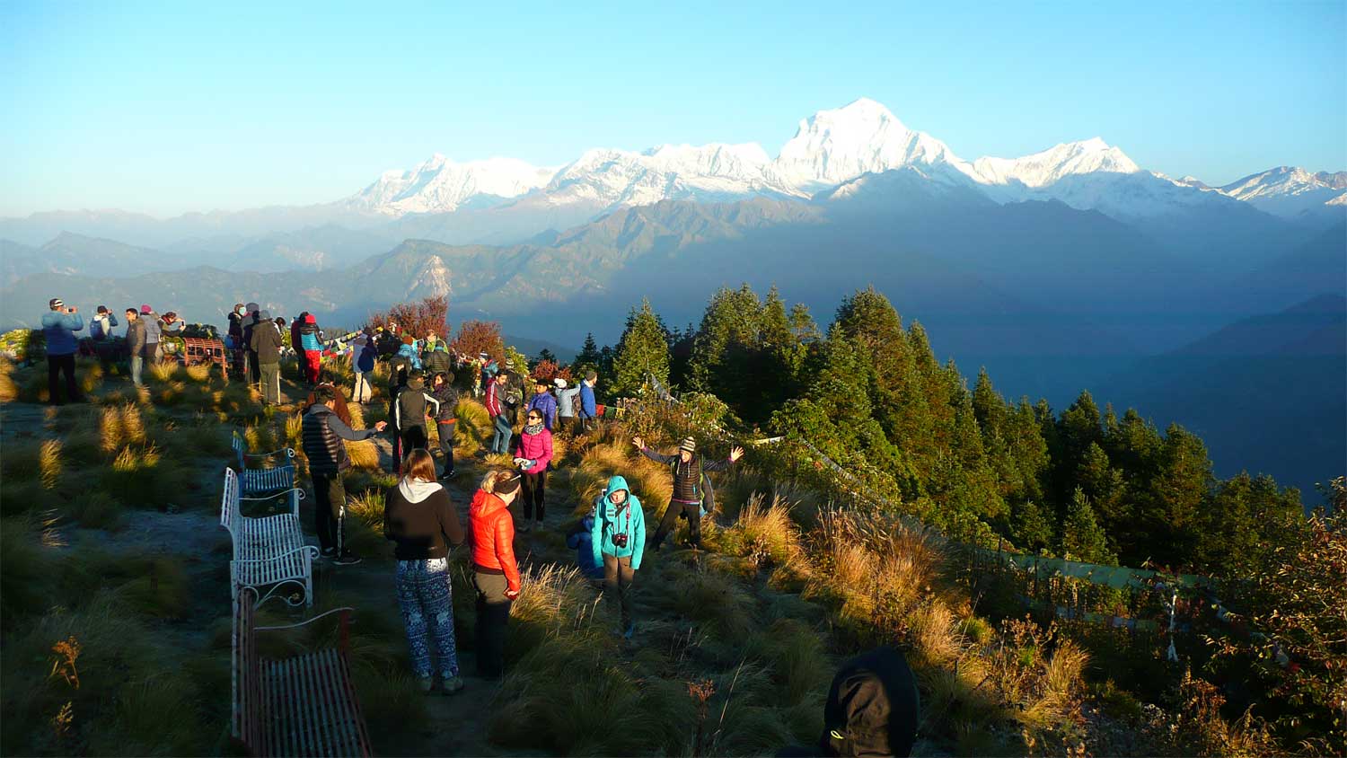 Best Annapurna Panorama Trek Complete Guide | Mount Trails