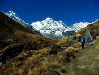 Annapurna Base camp 