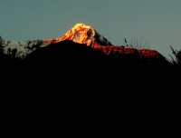 Annapurna Base Camp Trek 