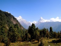 Ghorepani Ghandruk Trek