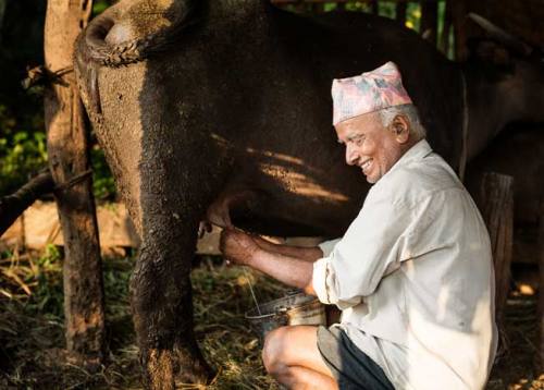 Bandipur Home Stay Tour