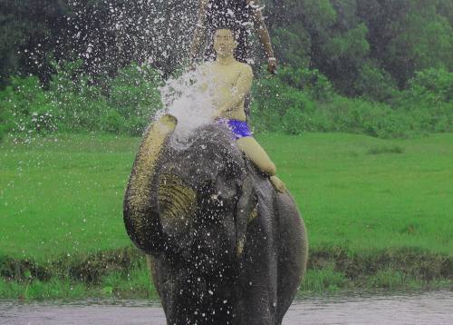 Chitwan Safari Tour