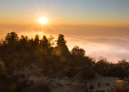 Ghorepani Poonhill trekking 