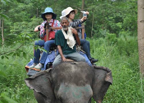 Chitwan Jungle Safari 3 Nights 4 Days