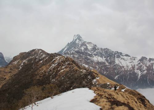 Mardi Himal Trekking